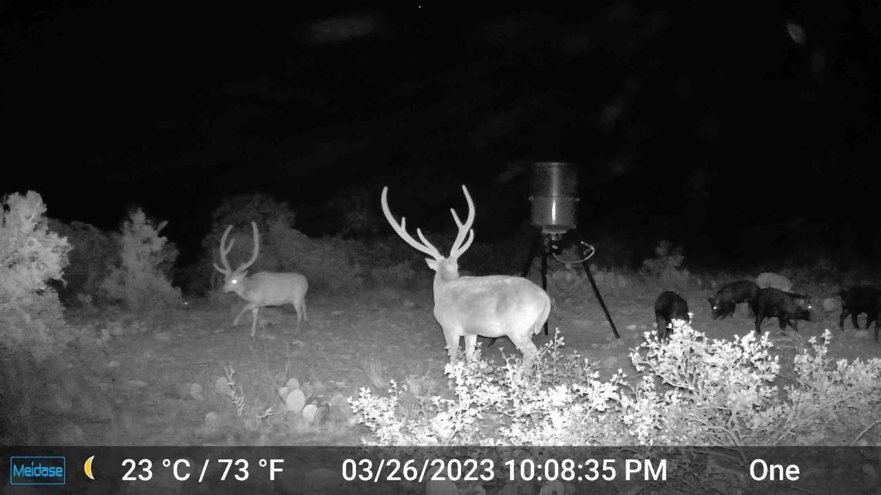 Rocksprings, Edwards County, TX Farms and Ranches, Recreational Property, Hunting Property for