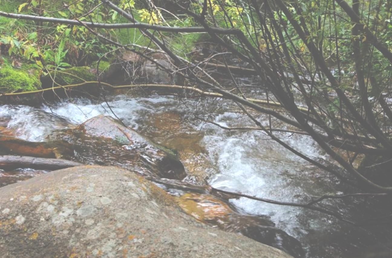 Leadville, Lake County, CO Recreational Property, Riverfront Property