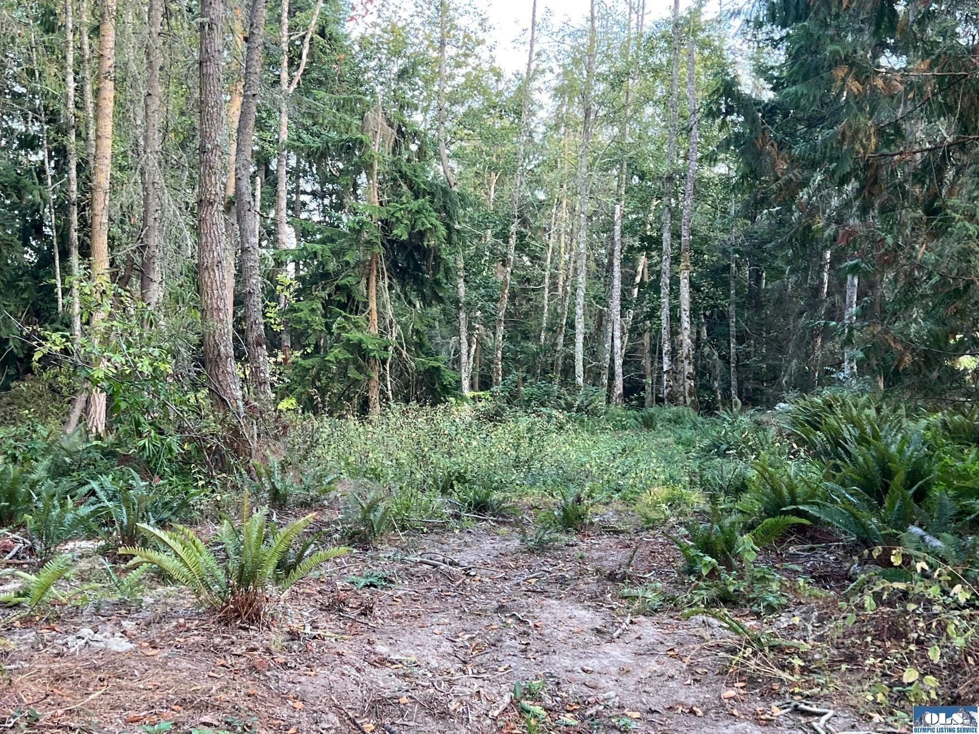 Sequim, Clallam County, WA Undeveloped Land, Lakefront Property