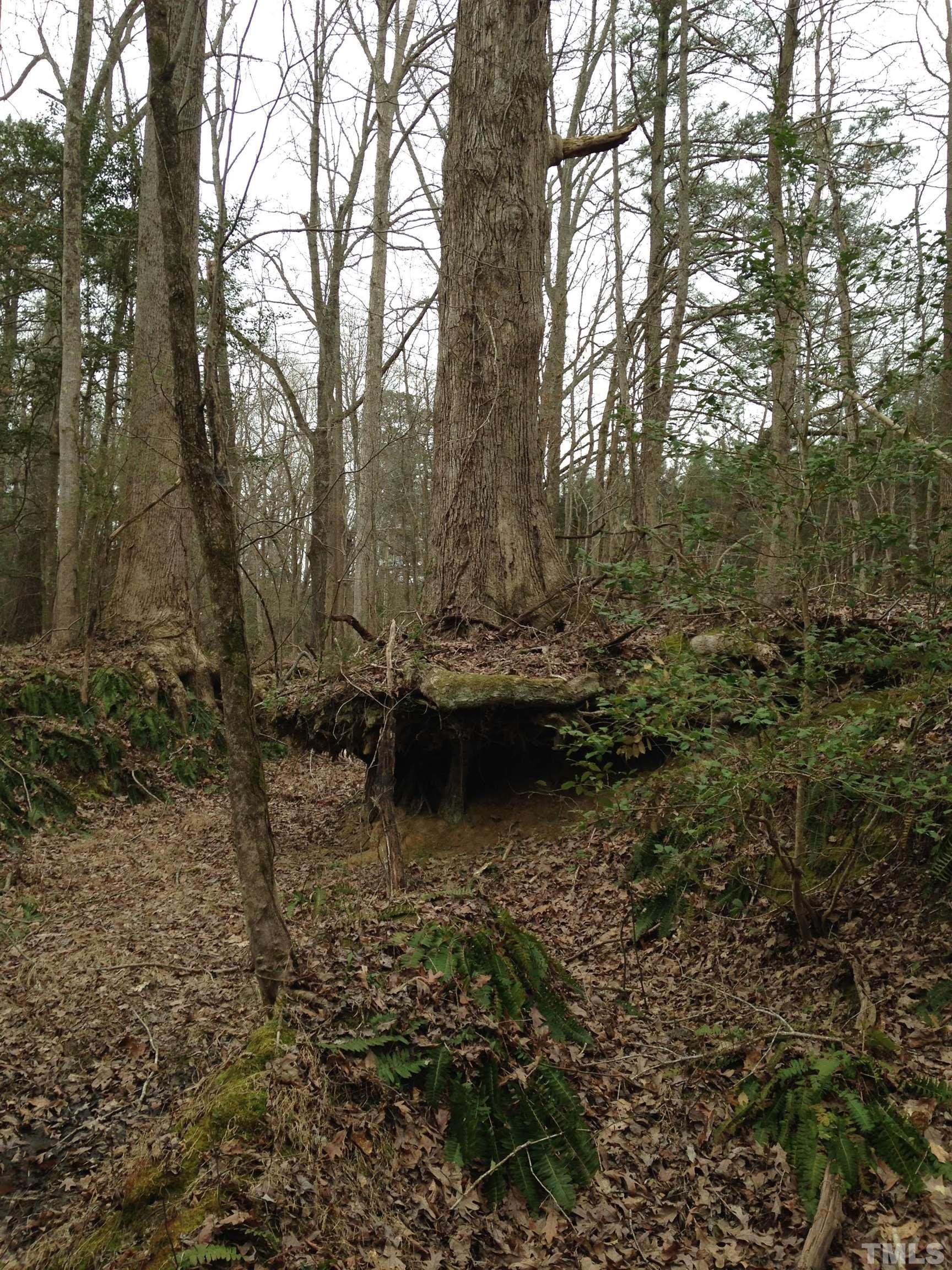 1 NC98, Bunn, NC 27508 LandWatch