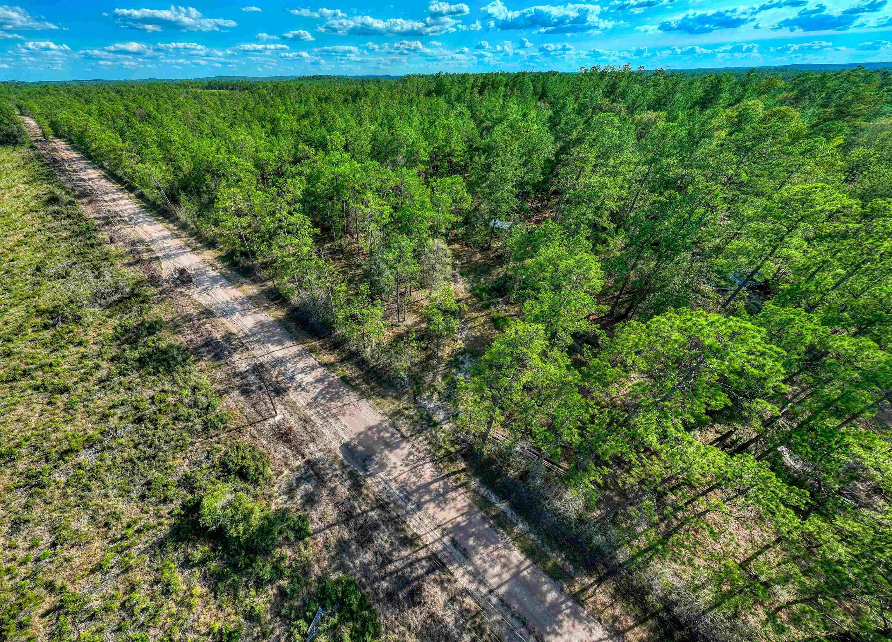 Colmesneil, Tyler County, TX Undeveloped Land for sale Property ID