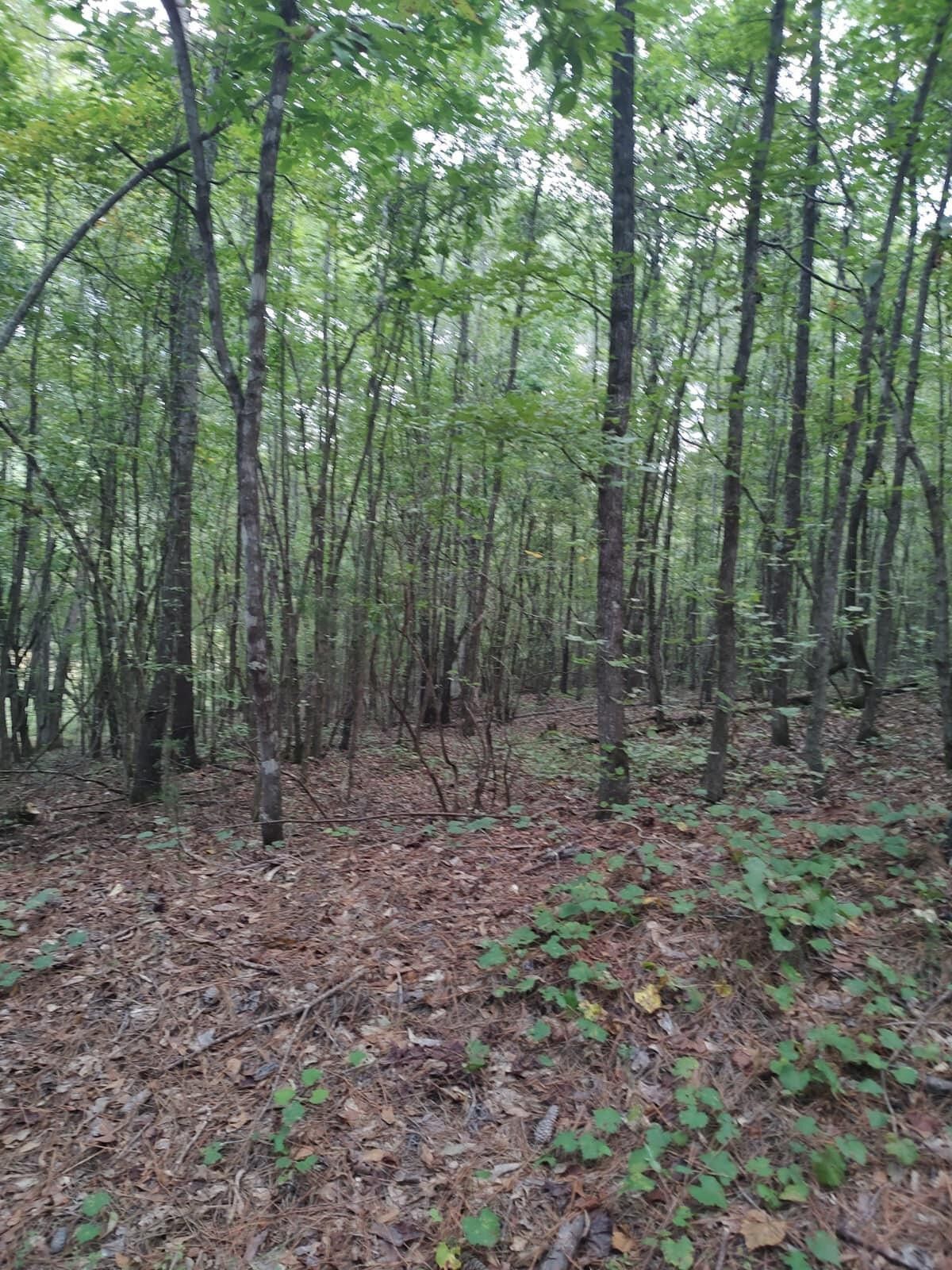 00 MESENA Road, Warrenton, GA 30828 MLS 521237 LandWatch