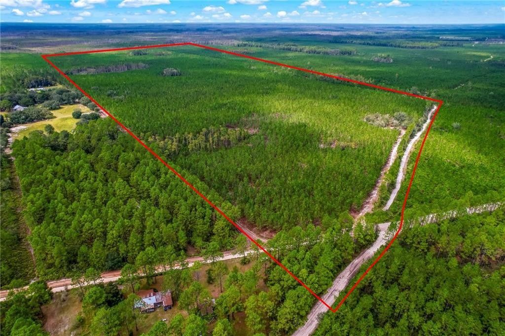 Folkston, Charlton County, GA Undeveloped Land for sale Property ID