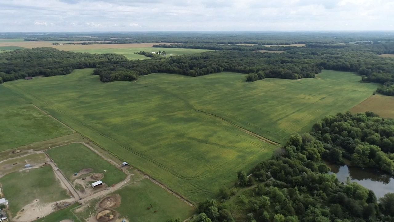 Alhambra, Bond County, IL Farms and Ranches for auction Property ID