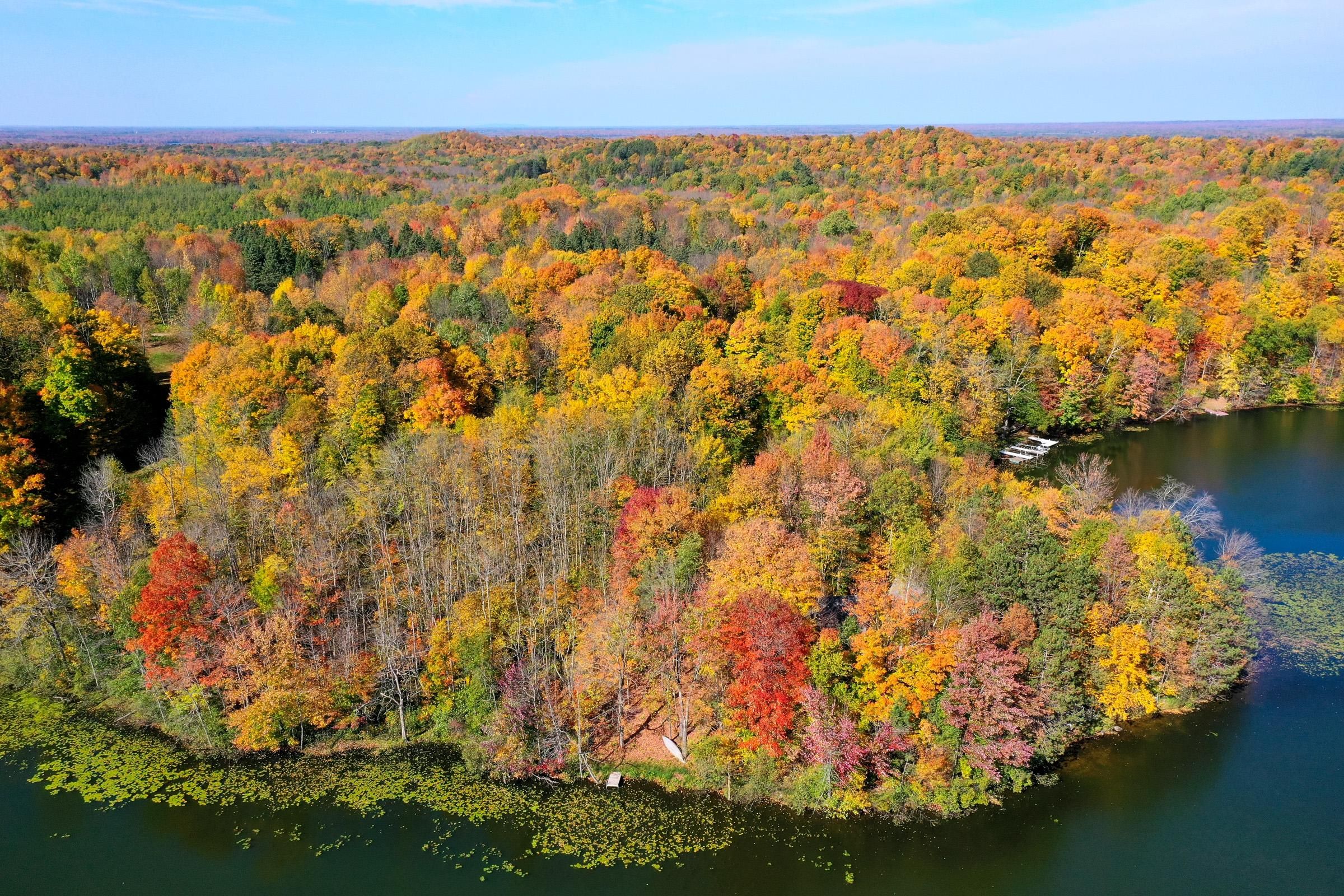 Medford, Taylor County, WI Recreational Property, Hunting Property
