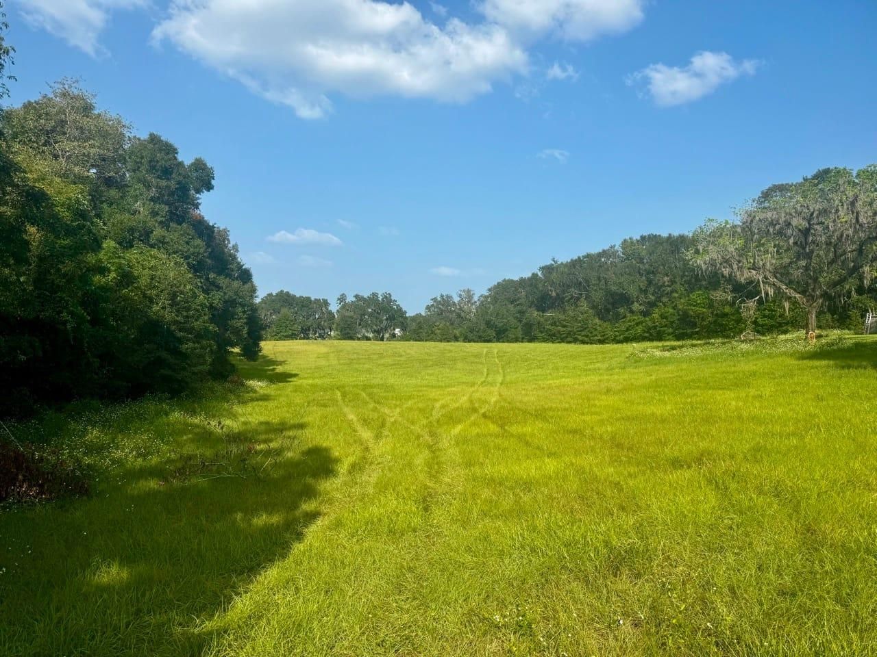 Madison, Madison County, FL Hunting Property, Homesites for sale