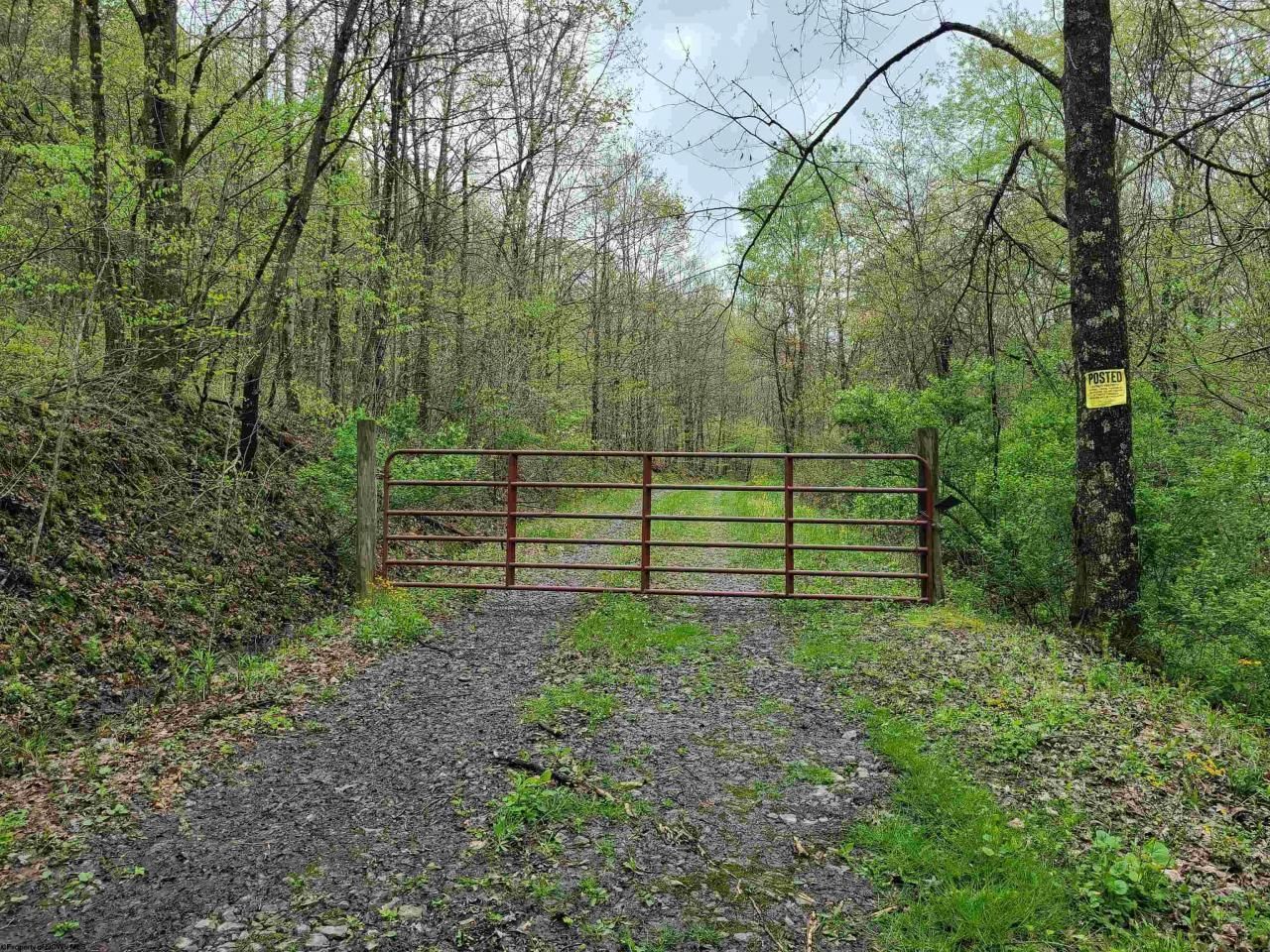 Frost Run, Philippi, WV 26416 MLS 10148820 LandWatch