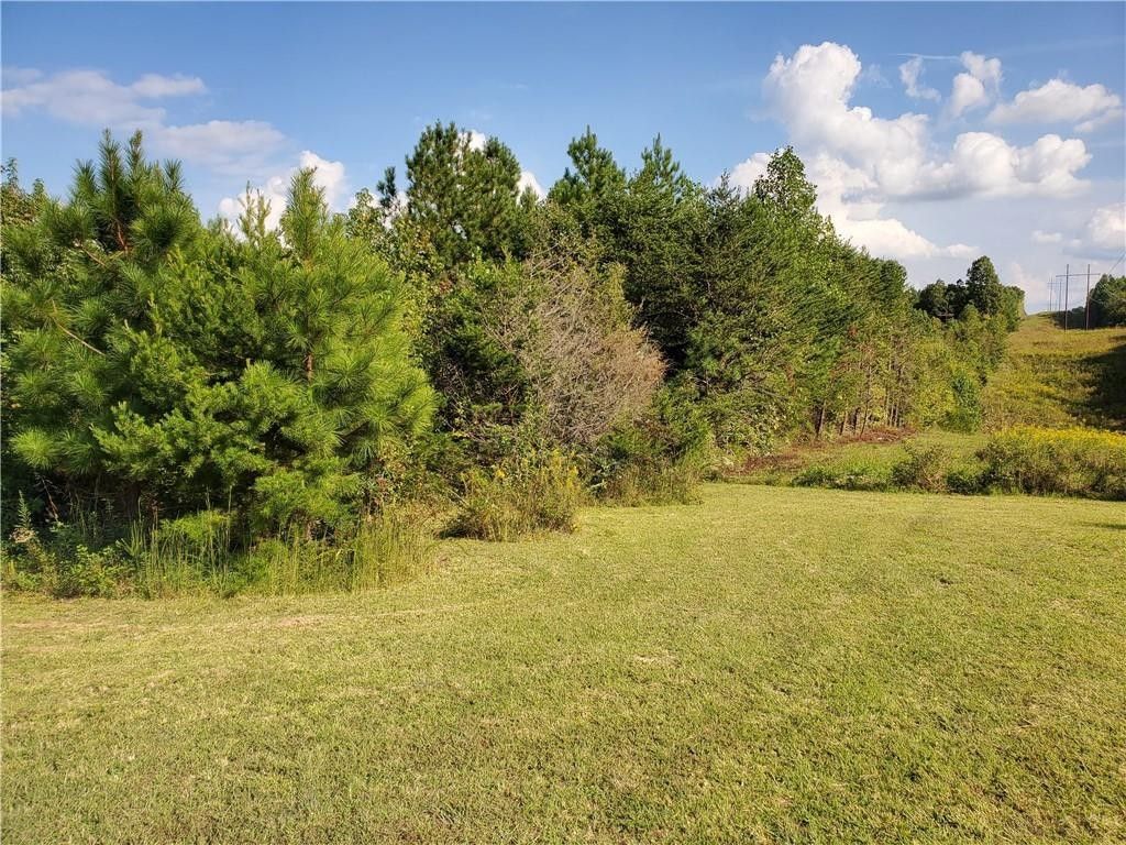 Rice, Prince Edward County, VA Undeveloped Land for sale Property ID