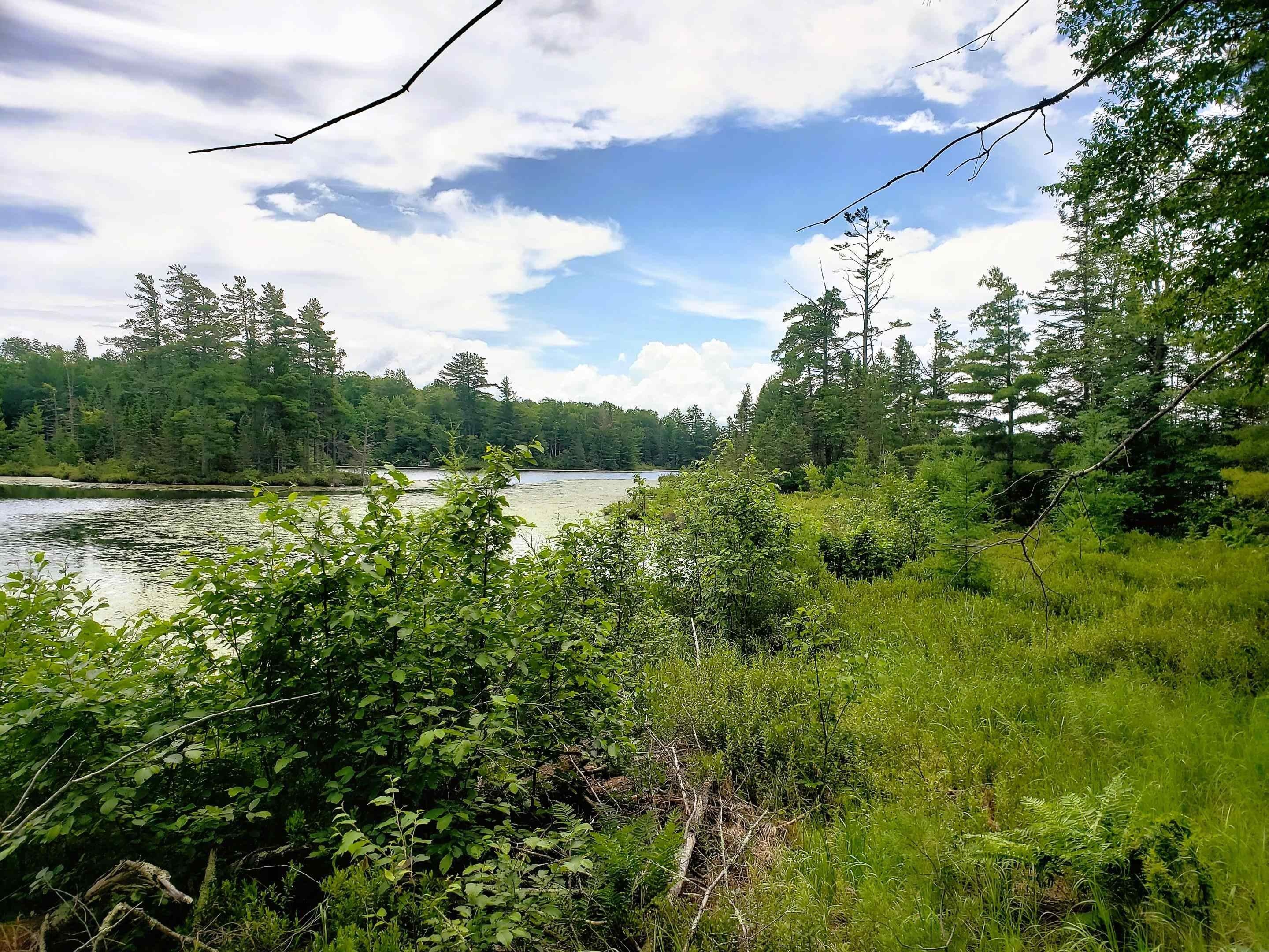 Mercer, Iron County, WI Undeveloped Land, Lakefront Property