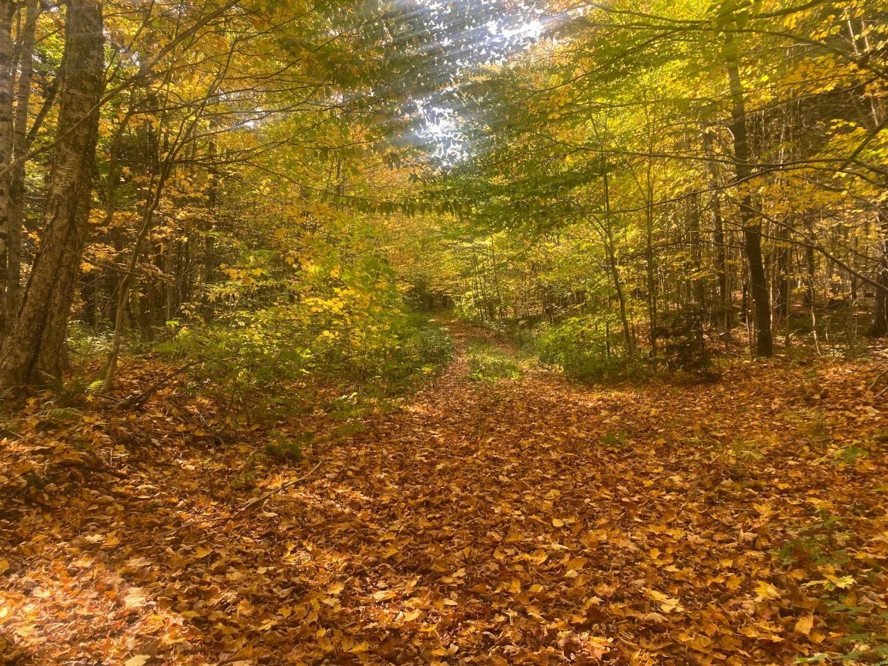 Tbd BLACK RIVER RD, Ironwood, MI 49938 MLS 204099 LandWatch