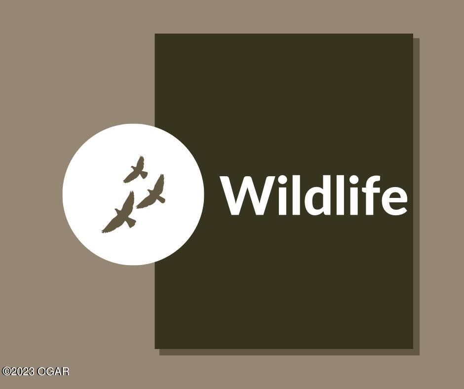 Anderson, McDonald County, MO for sale Property ID 417159280 LandWatch