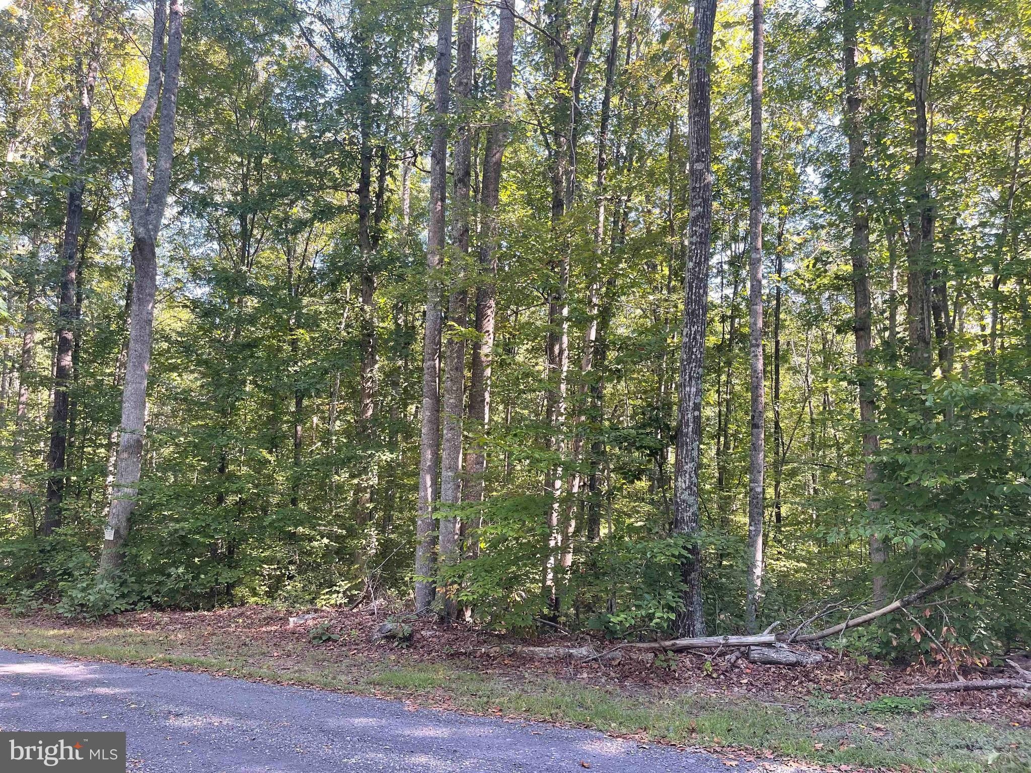 Lignum, Culpeper County, VA Undeveloped Land for sale Property ID