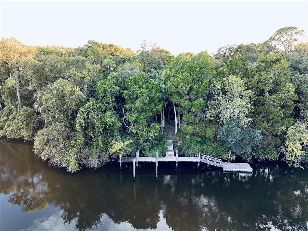 Inglis, Citrus County, FL Undeveloped Land, Lakefront Property