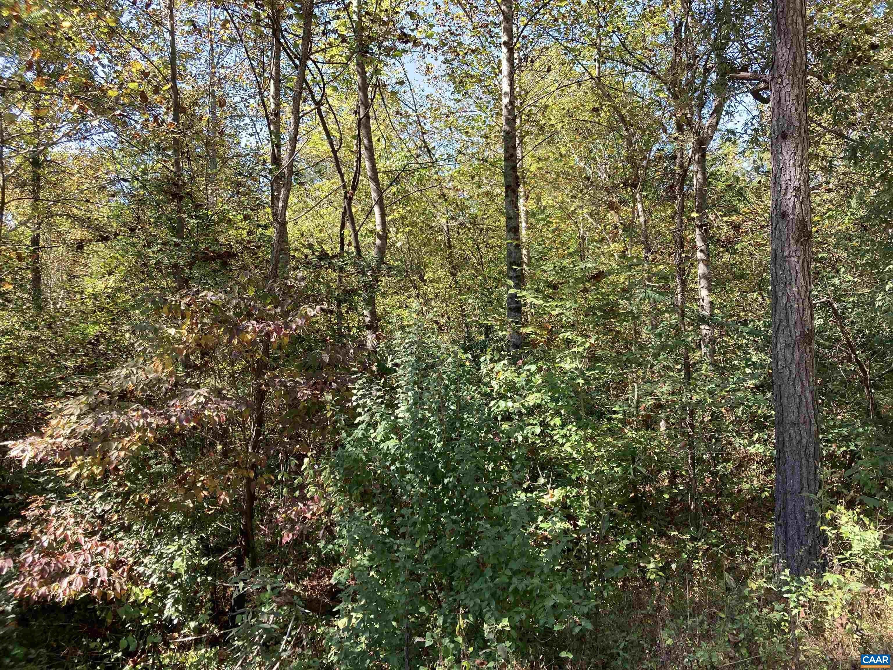 Schuyler, Nelson County, VA Undeveloped Land for sale Property ID