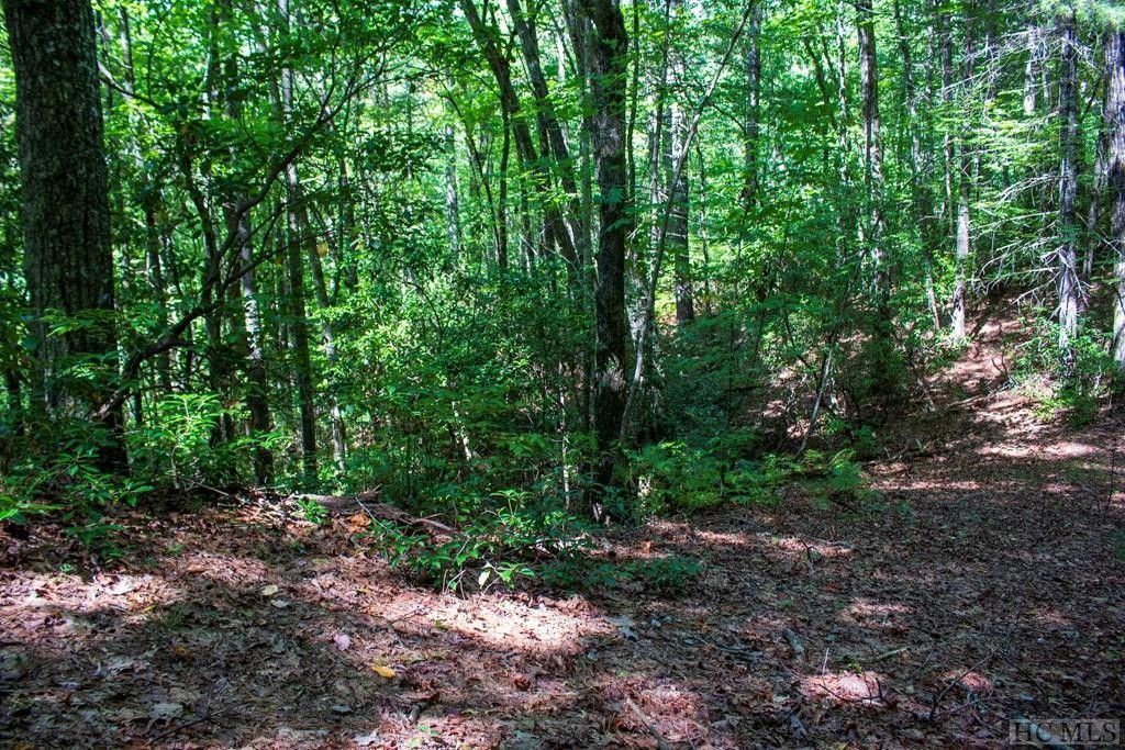 Brevard, Transylvania County, NC Undeveloped Land, Homesites for sale
