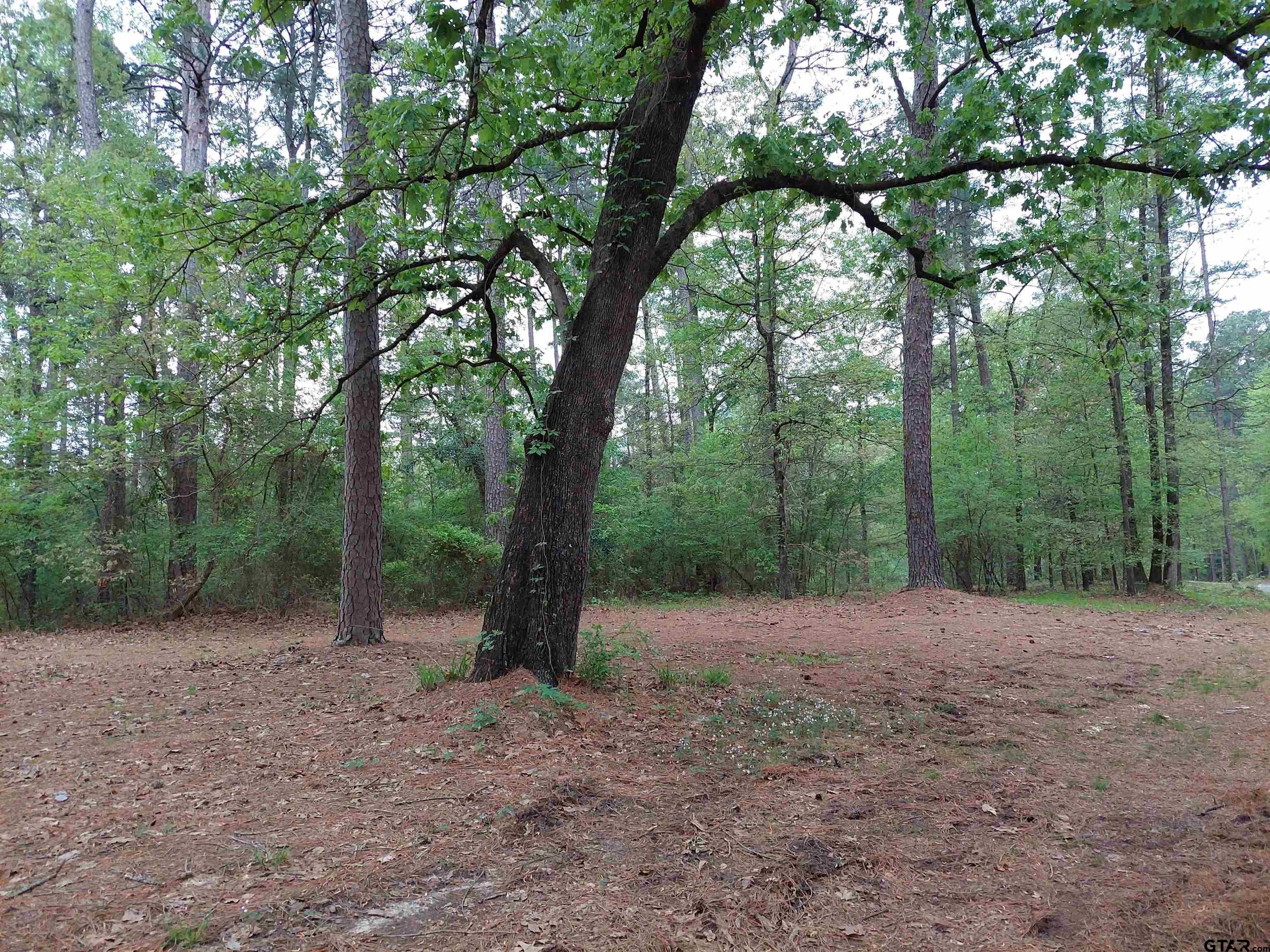Winnsboro, Wood County, TX Undeveloped Land, Homesites for sale