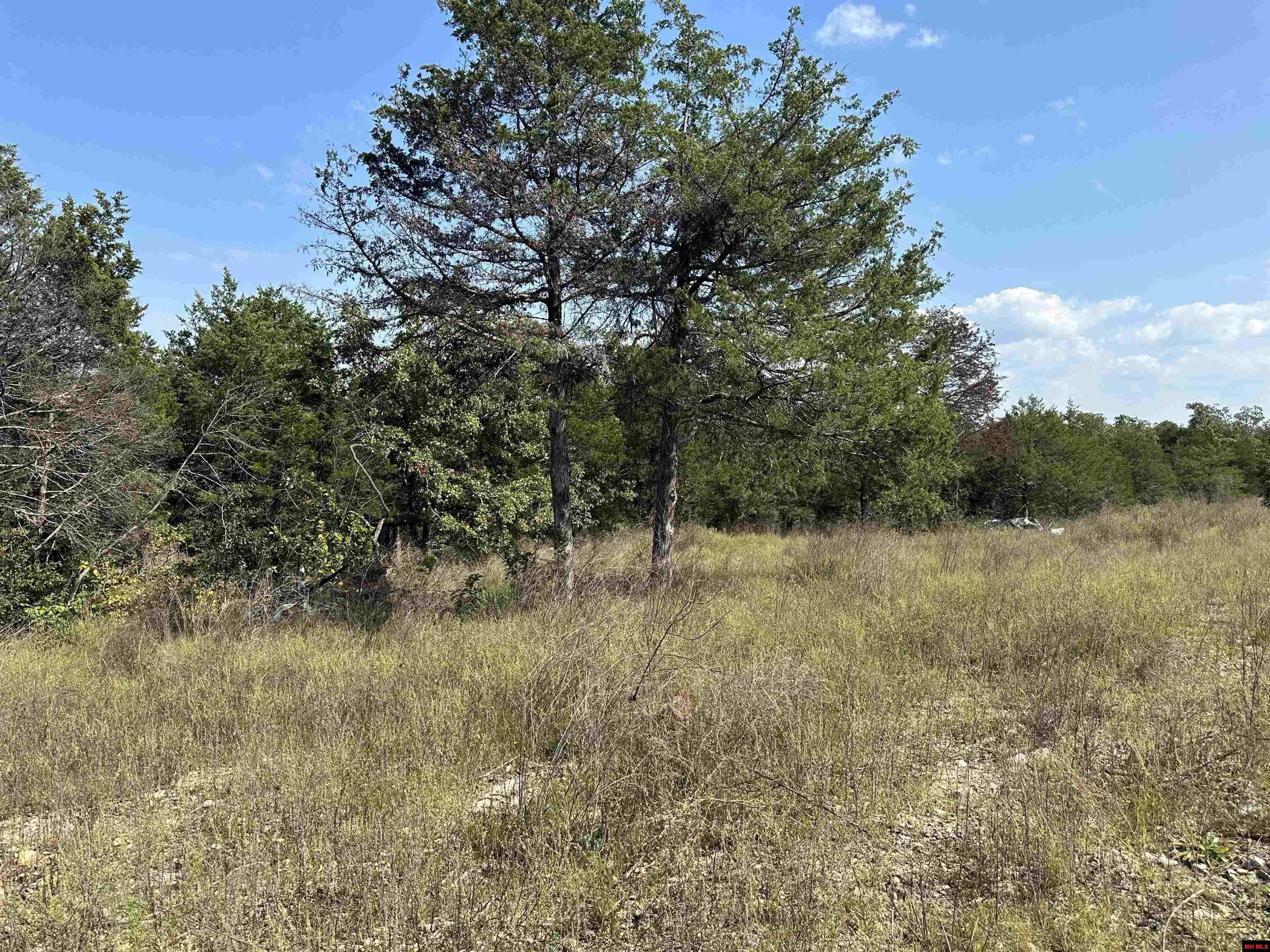 Clarkridge, Baxter County, AR Undeveloped Land for sale Property ID