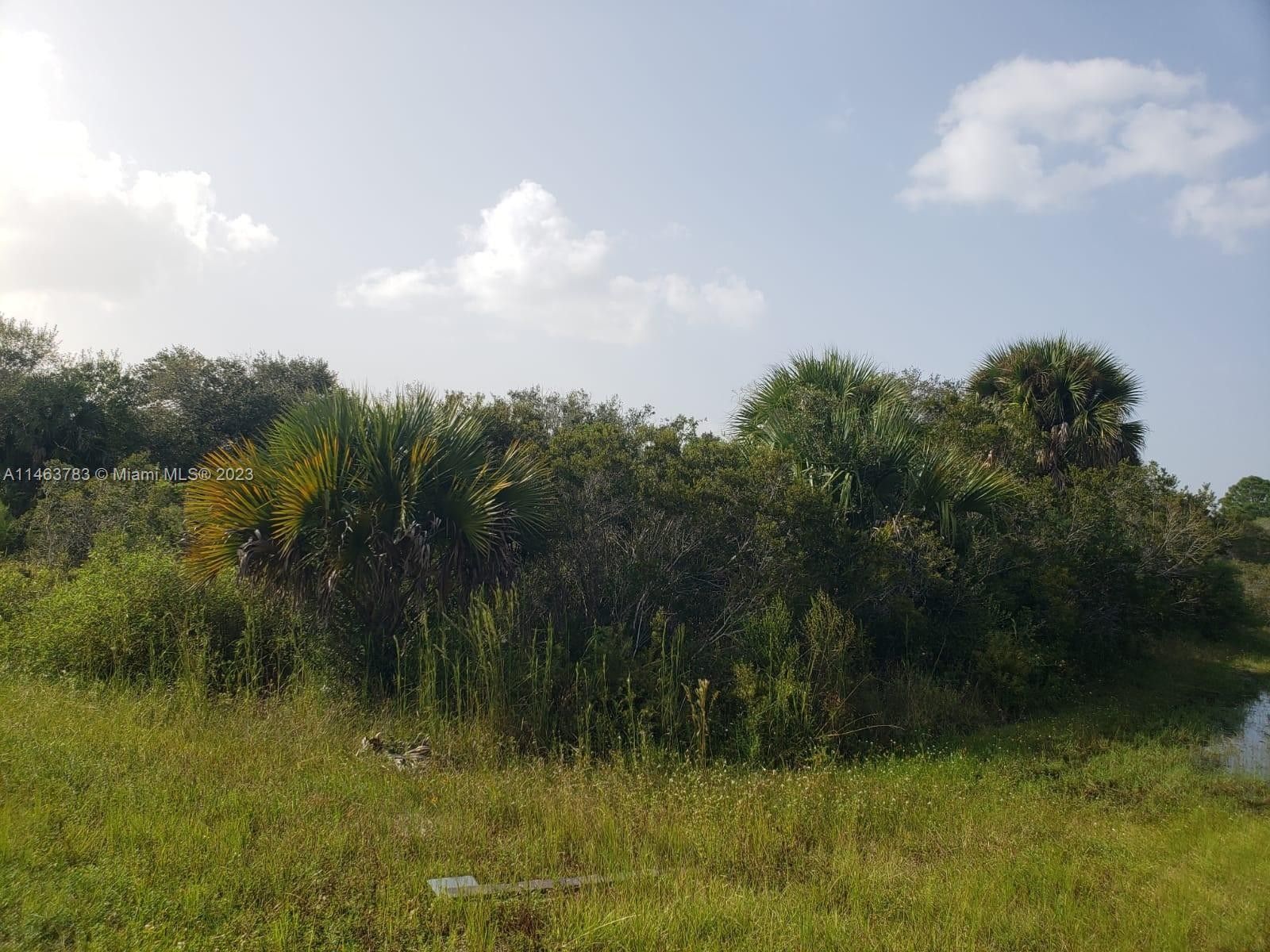 Okeechobee, Okeechobee County, FL Undeveloped Land, Homesites for sale Property ID 417898265