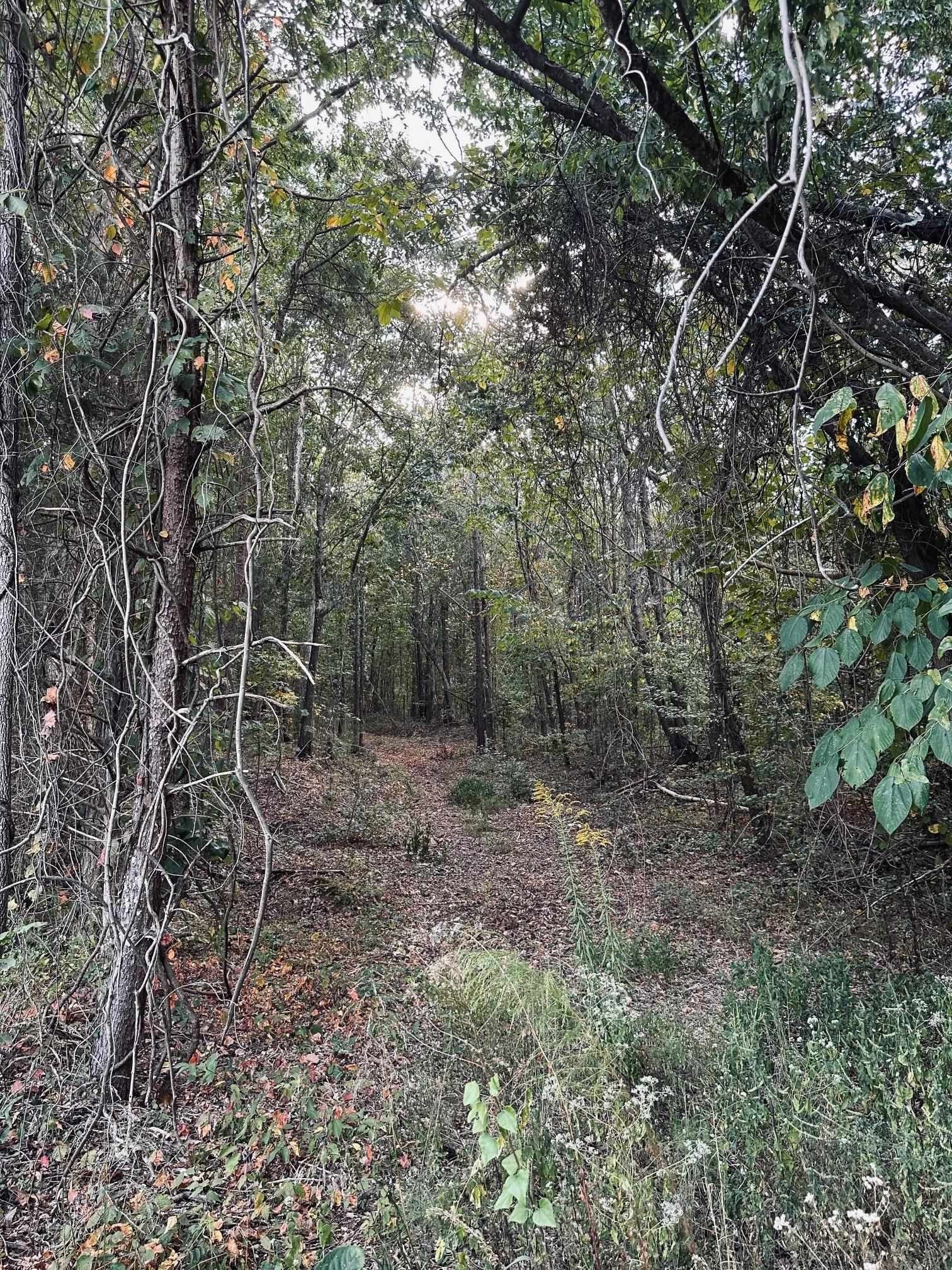 Tuscumbia, Colbert County, AL Homesites for sale Property ID 417898581