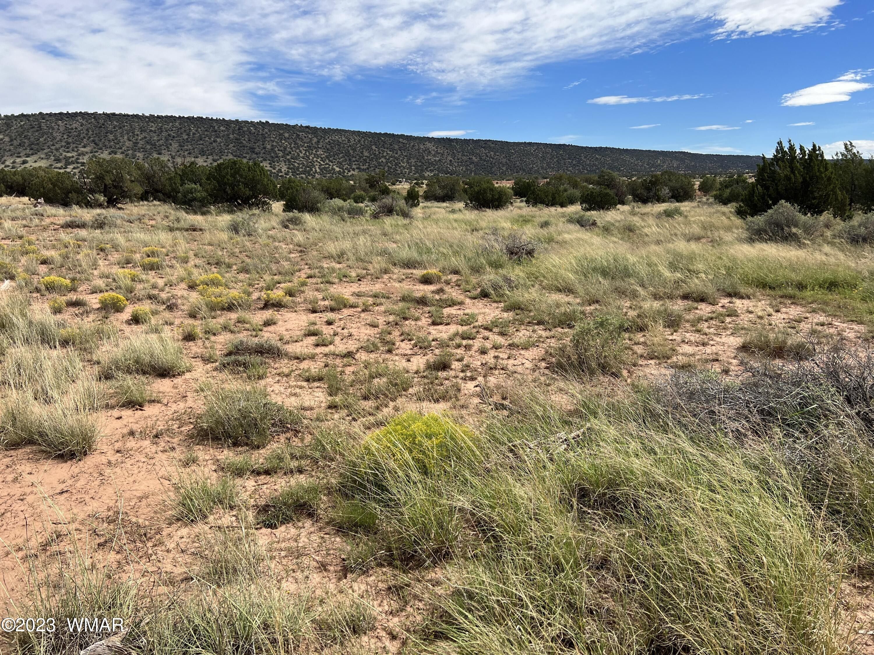 Snowflake, Navajo County, AZ Homesites for sale Property ID 417900012