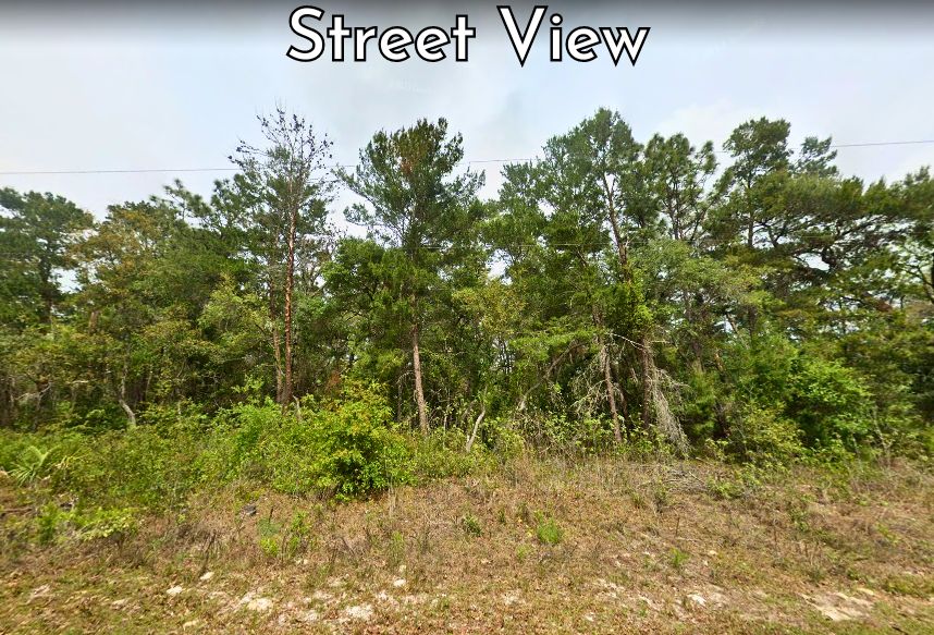 Satsuma, Putnam County, FL Recreational Property, Undeveloped Land
