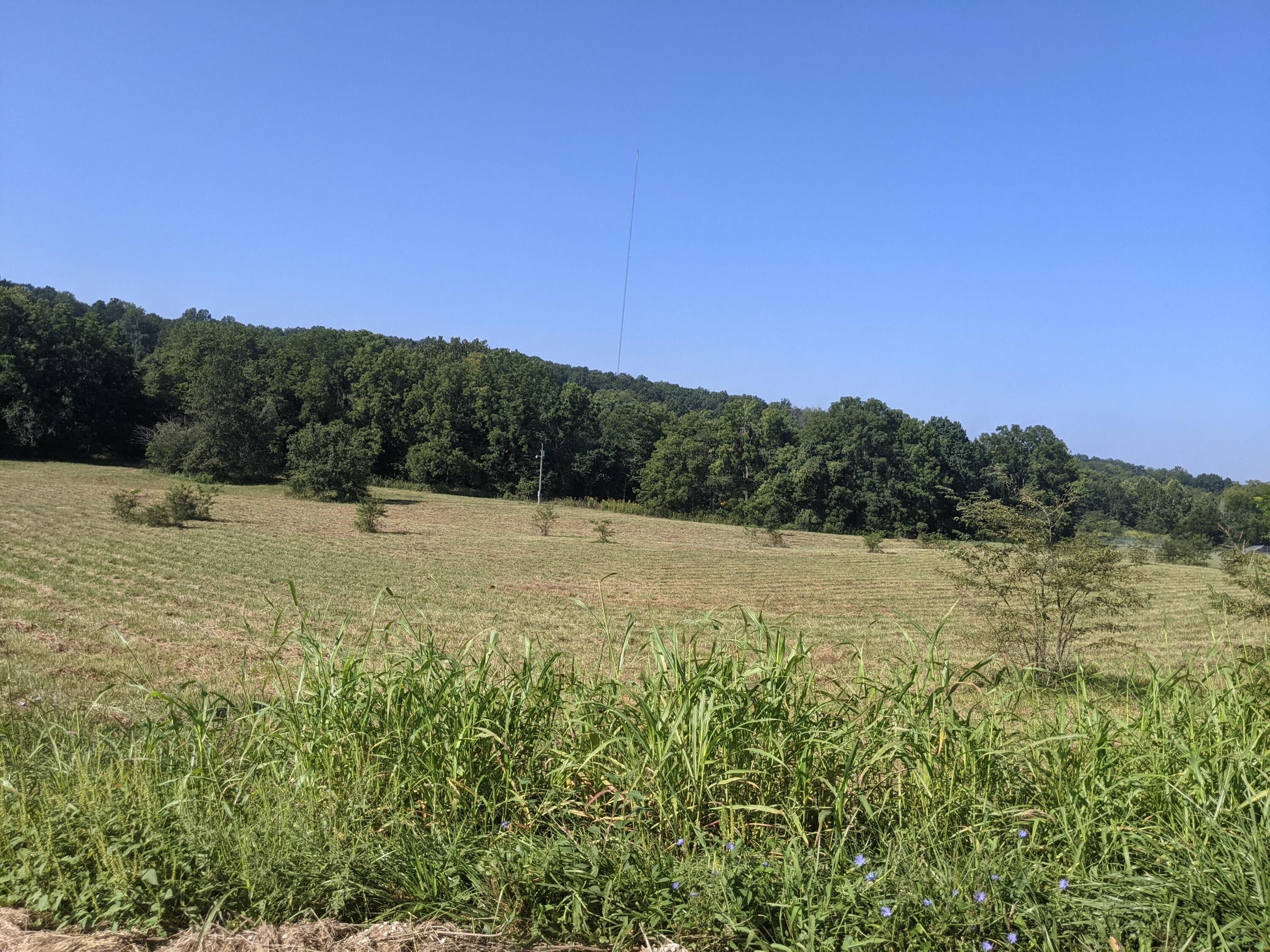 Fordland, ster County, MO Undeveloped Land for sale Property ID