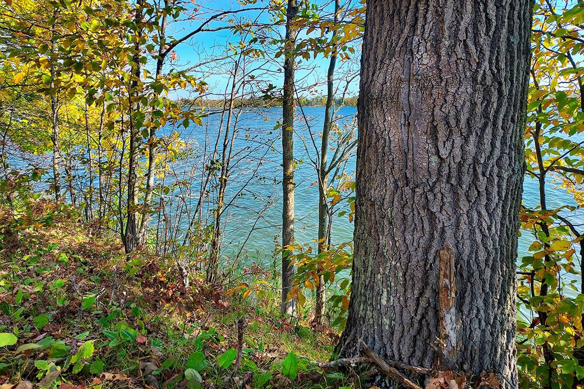 11.14 acres in Turtle Lake, WI, 54889 LandWatch