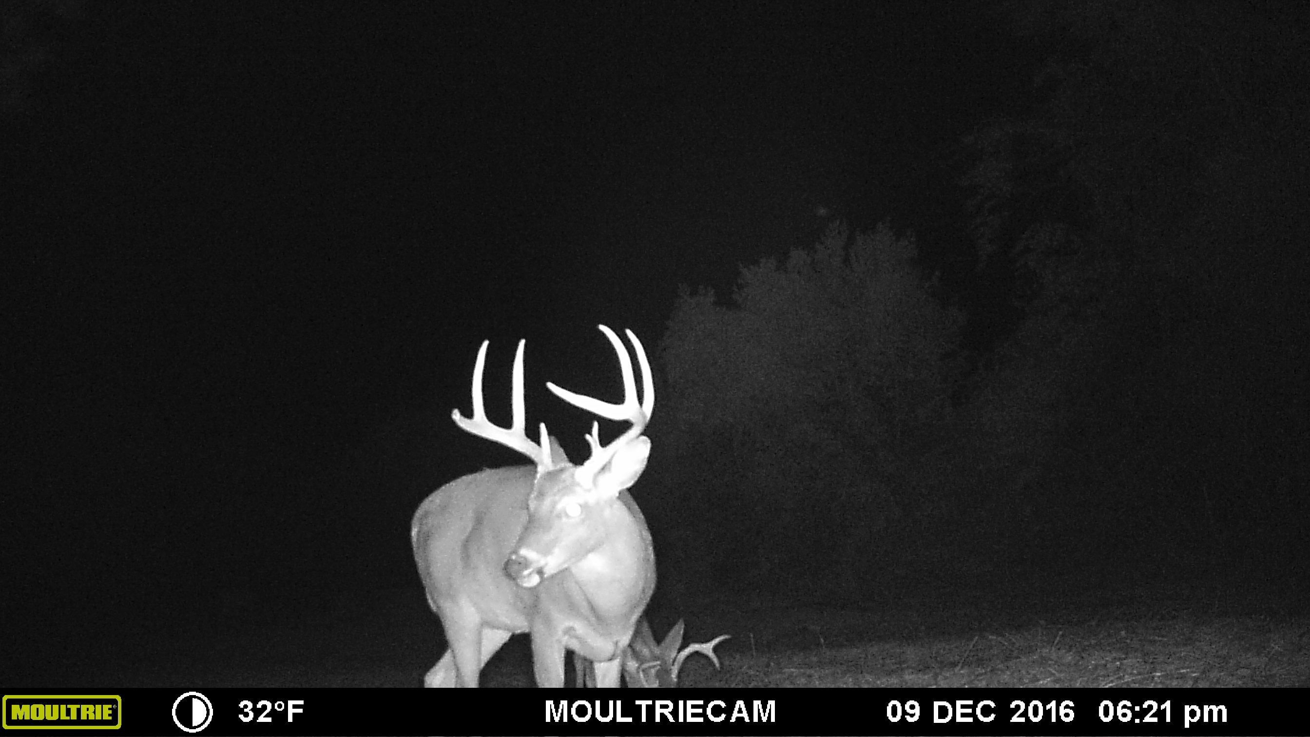 Evergreen, Conecuh County, AL Recreational Property, Timberland