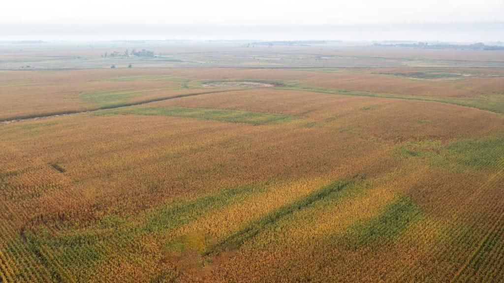 153 acres in Letcher, SD, 57359 MLS 23613 LandWatch