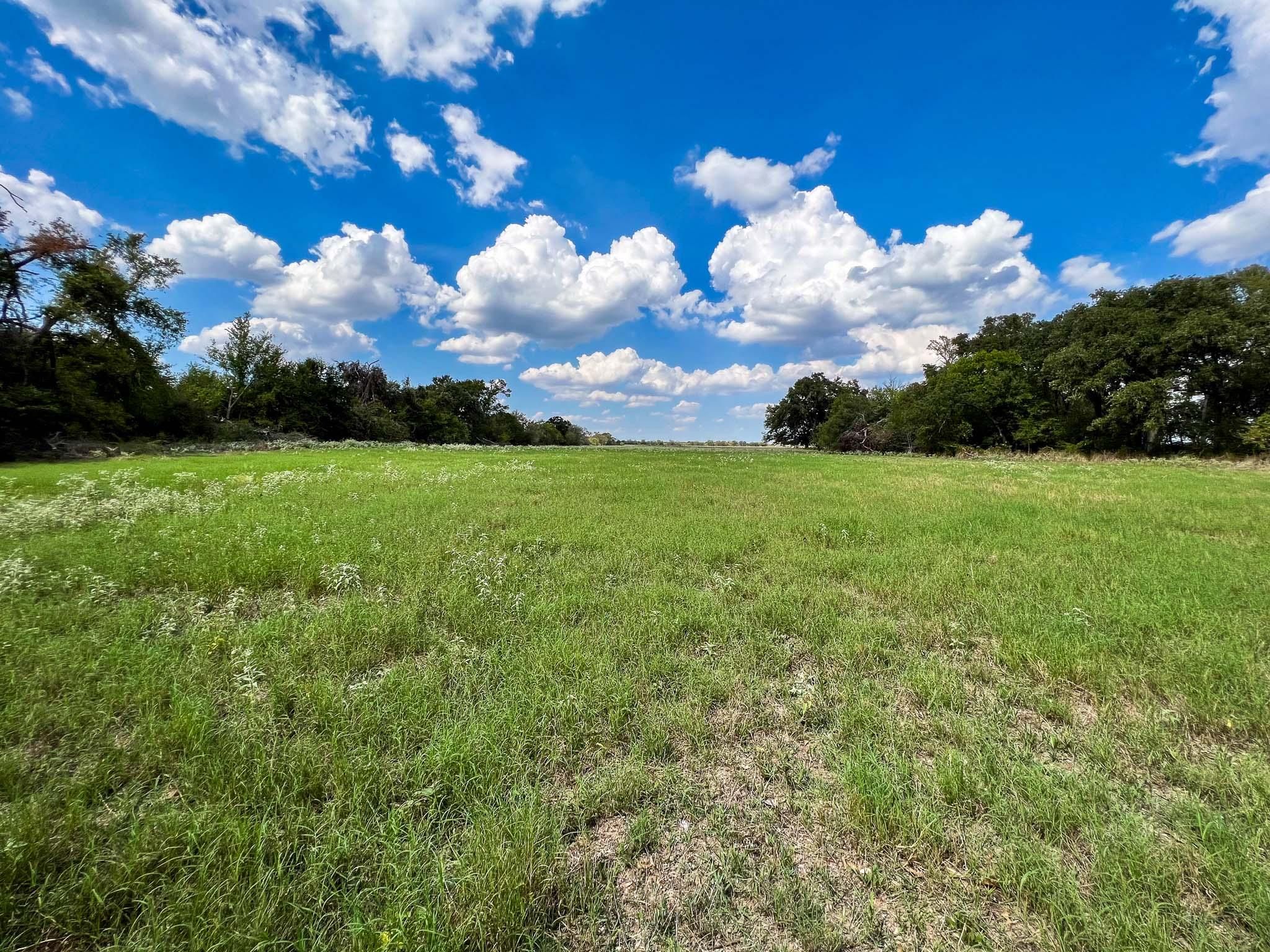Kosse, Falls County, TX Recreational Property, Horse Property for sale