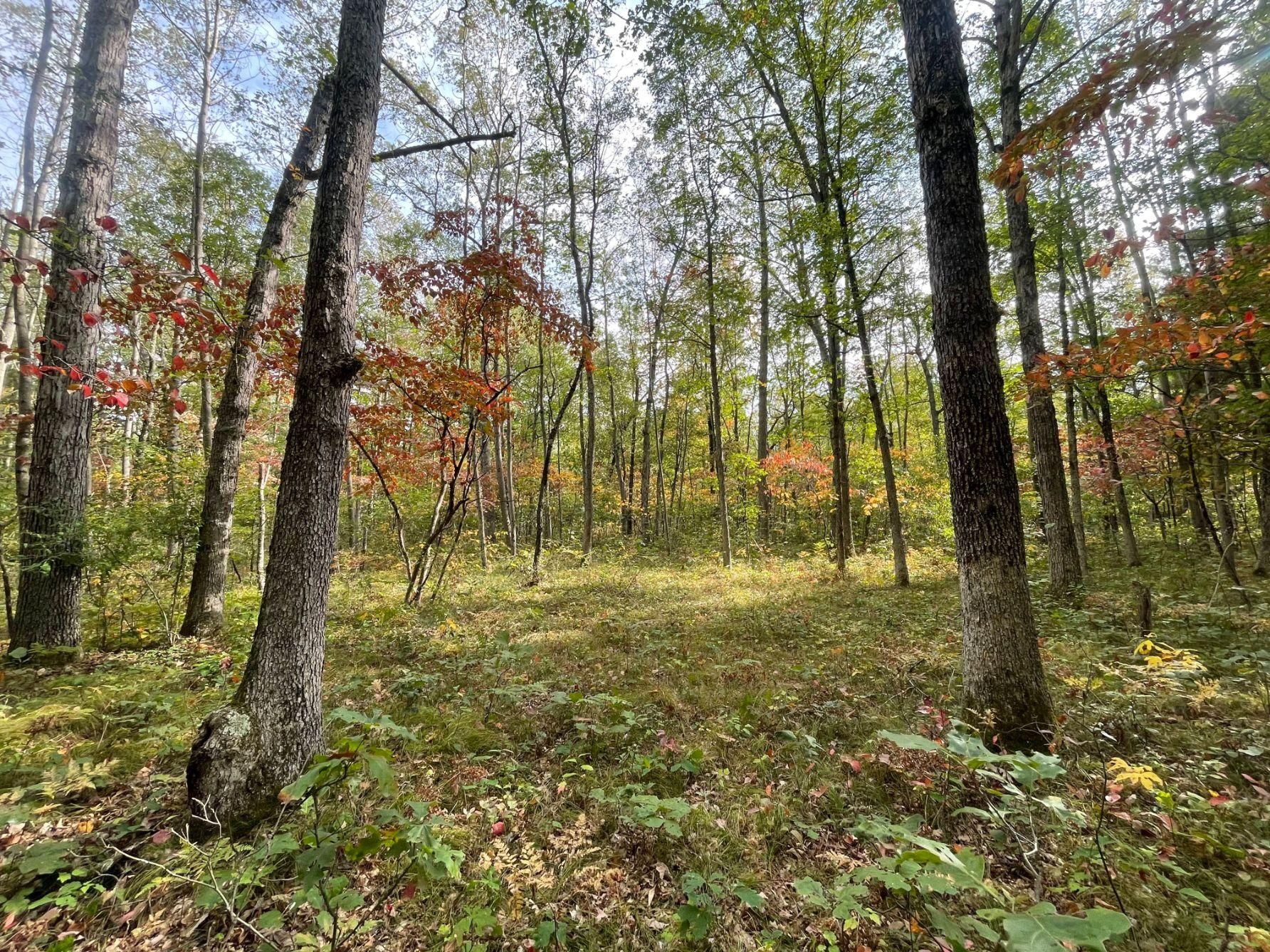 Grant, Newaygo County, MI Recreational Property, Timberland Property