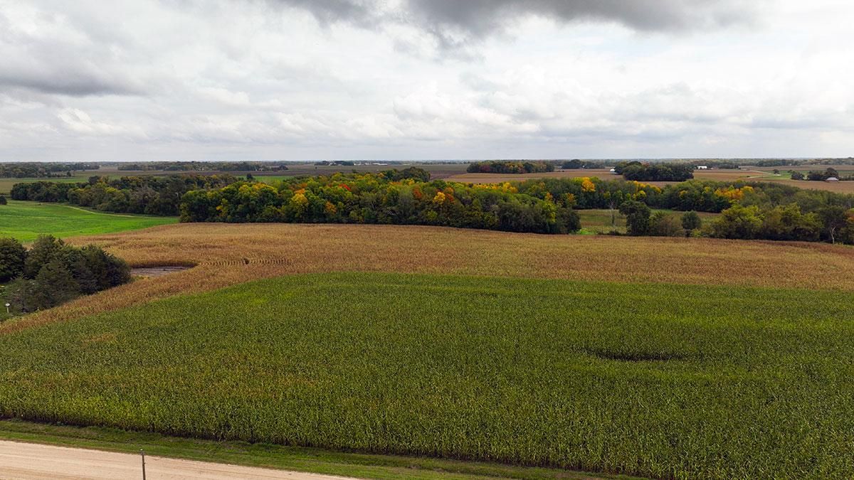 Waverly, Wright County, MN Farms and Ranches, Recreational Property for