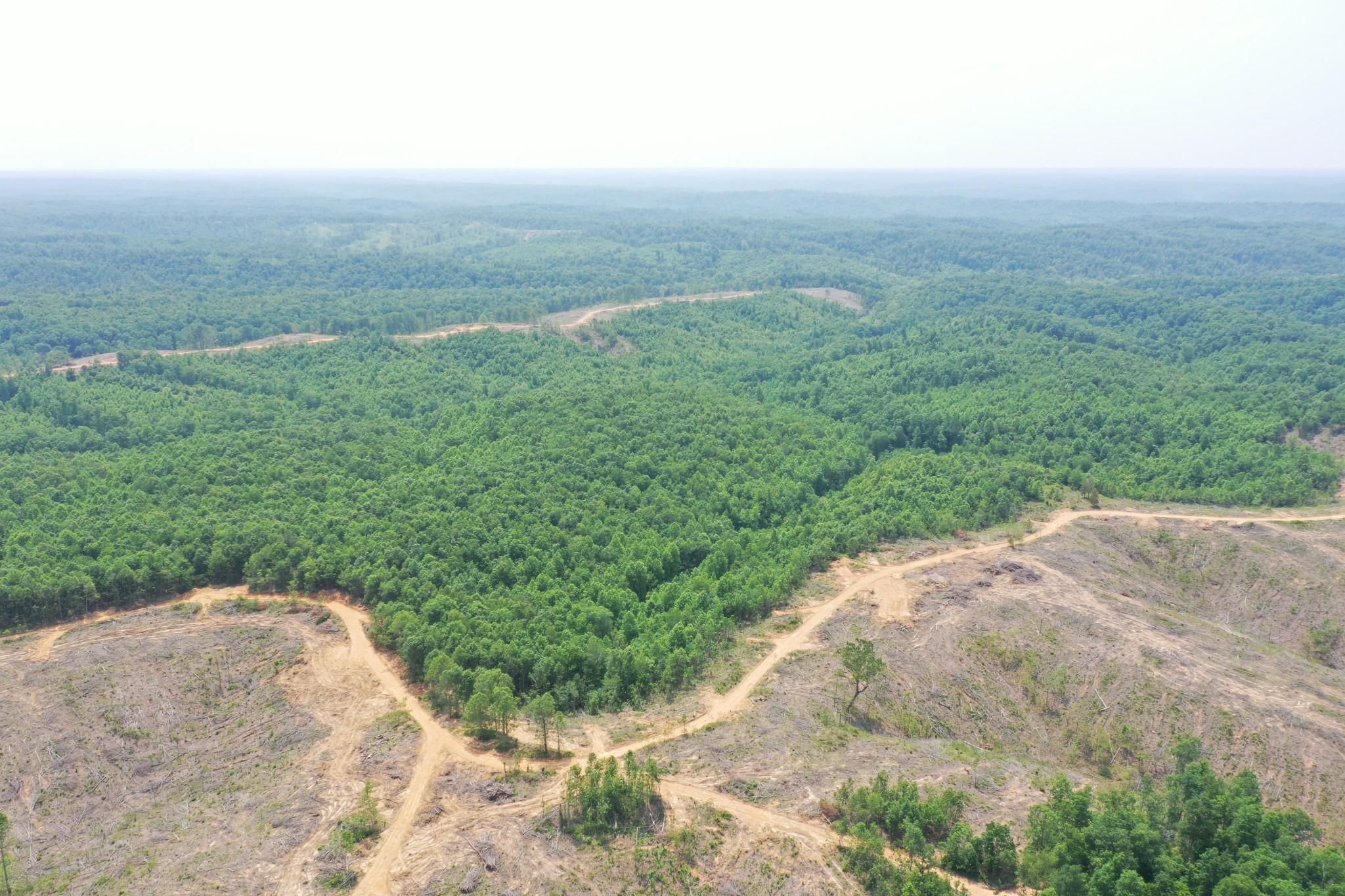 Centerville, Hickman County, TN Recreational Property, Undeveloped Land