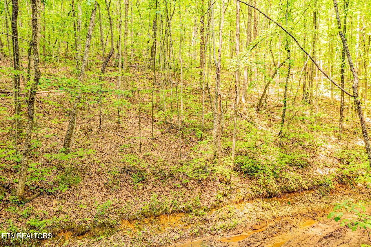 Maryville, Blount County, TN for sale Property ID 417903456 LandWatch