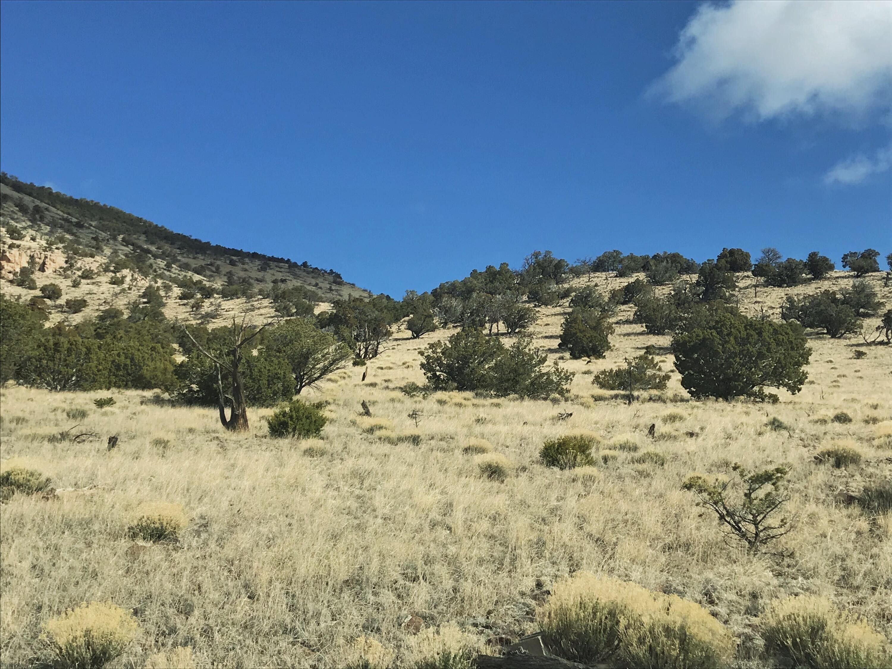Datil, Catron County, NM Undeveloped Land for sale Property ID