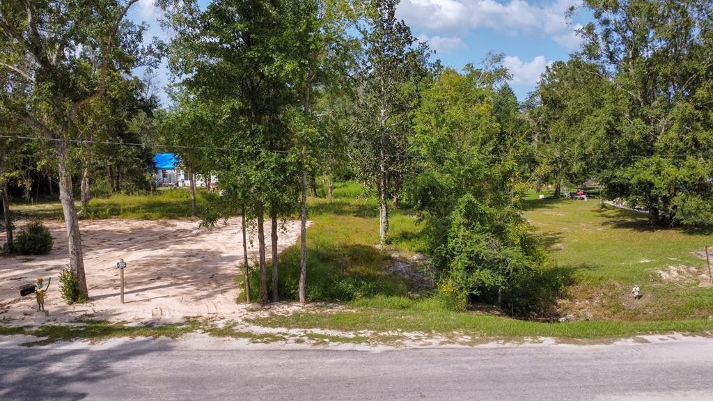 Wewahitchka, Gulf County, FL Undeveloped Land, Homesites for sale