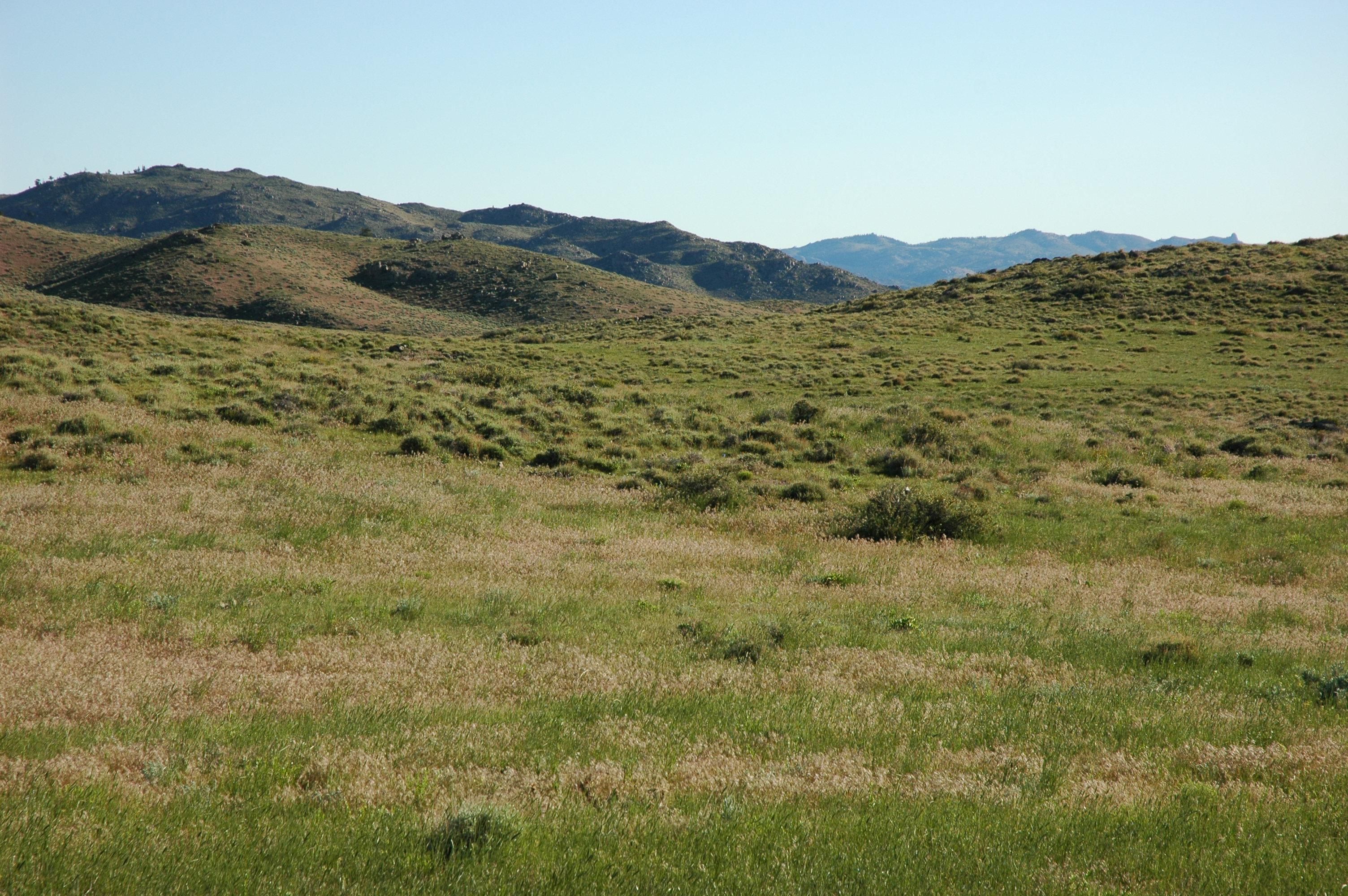 Wheatland, Platte County, WY Undeveloped Land for sale Property ID