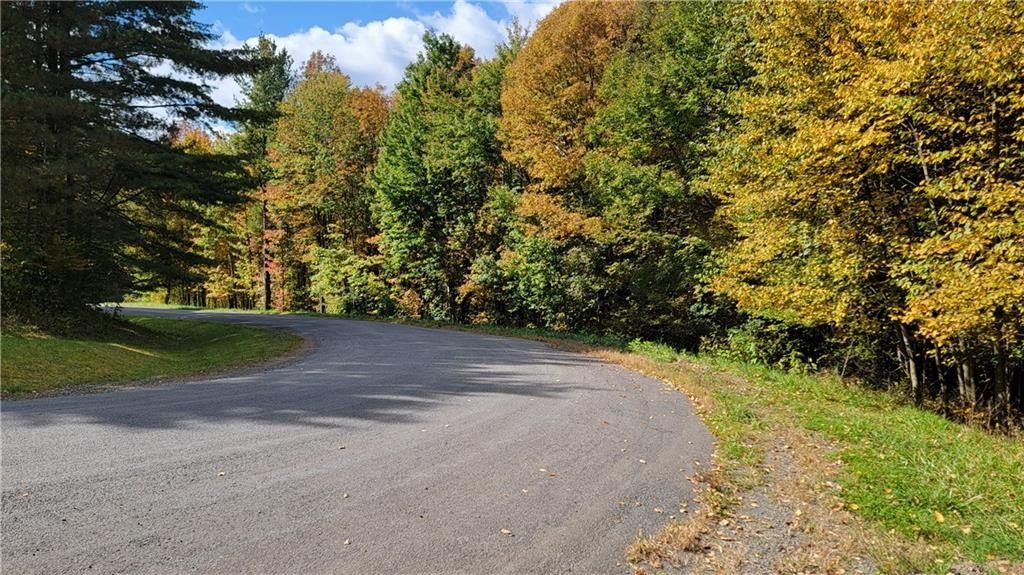 Davenport, Delaware County, NY Undeveloped Land for sale Property ID