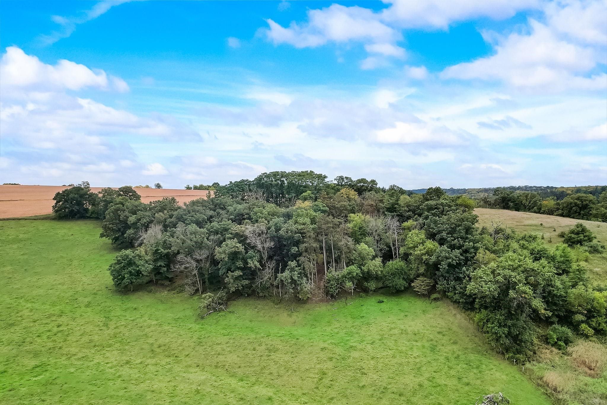 Hollandale, Iowa County, WI Undeveloped Land for sale Property ID