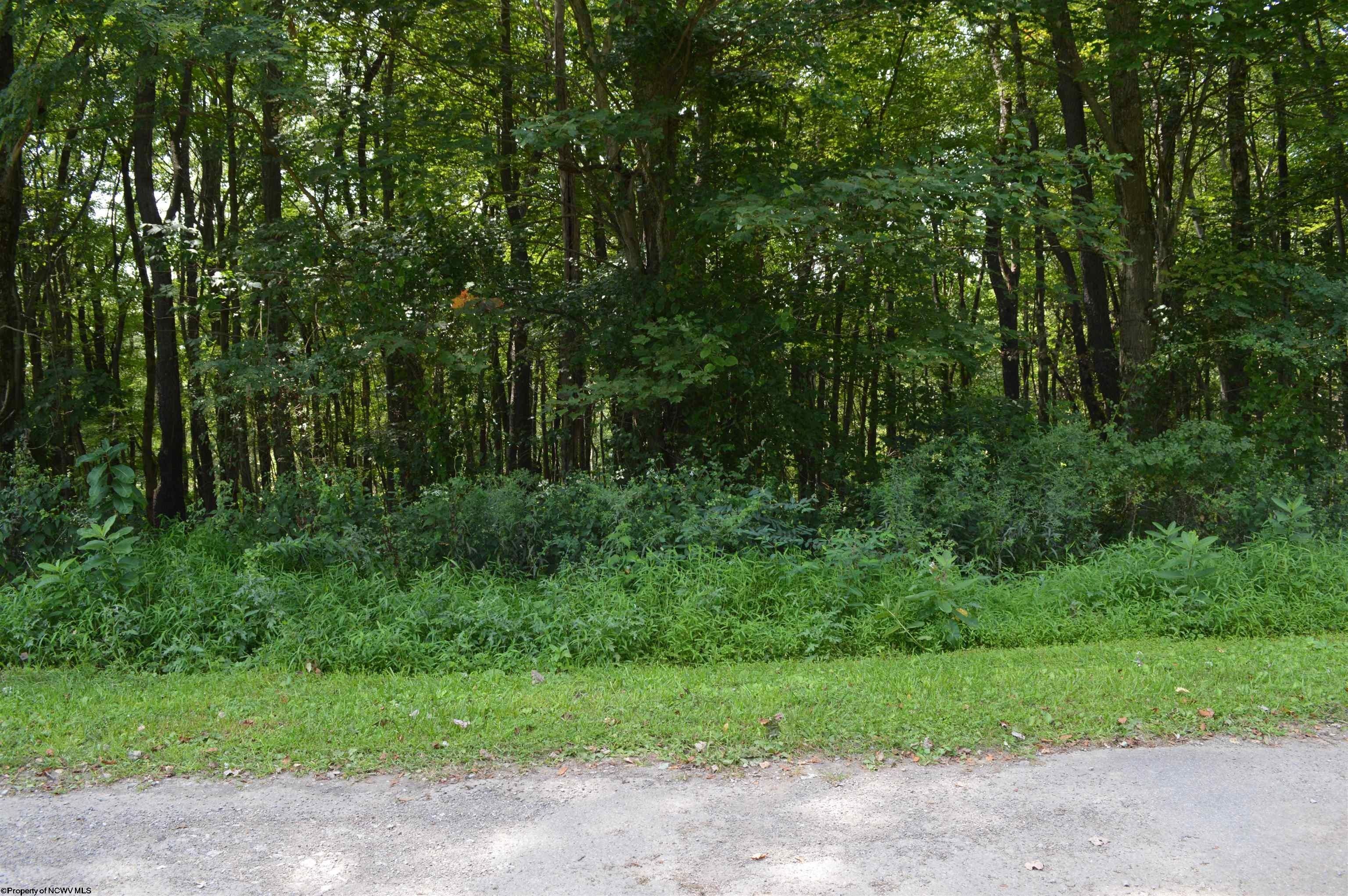 Hazelton, Preston County, WV Undeveloped Land for sale Property ID