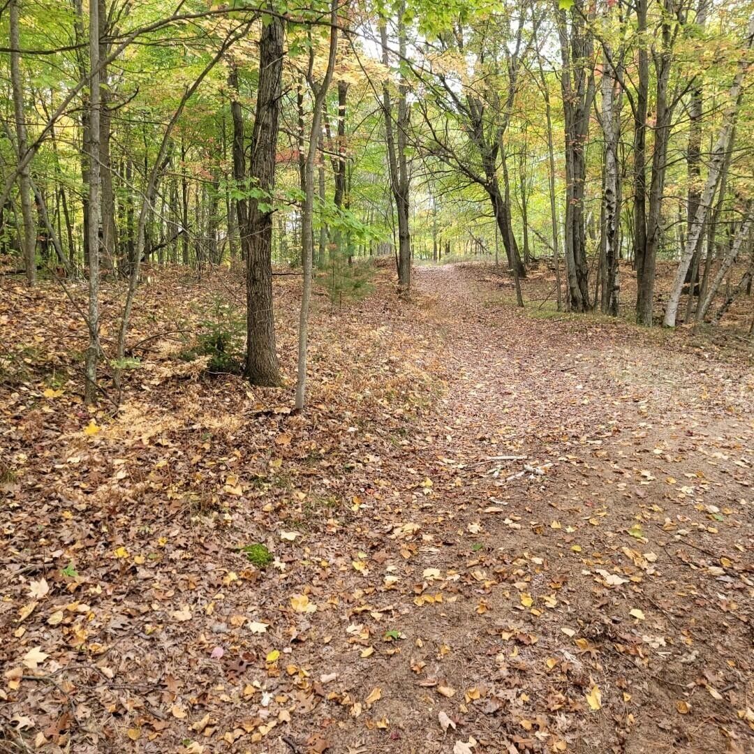 Prudenville, County, MI Undeveloped Land for sale Property ID