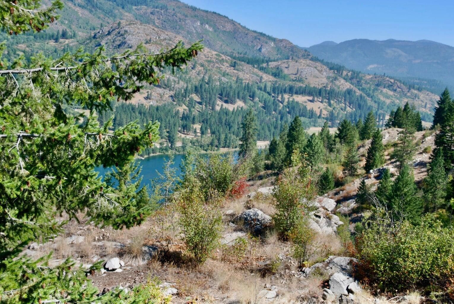 Northport, Stevens County, WA Undeveloped Land for sale Property ID