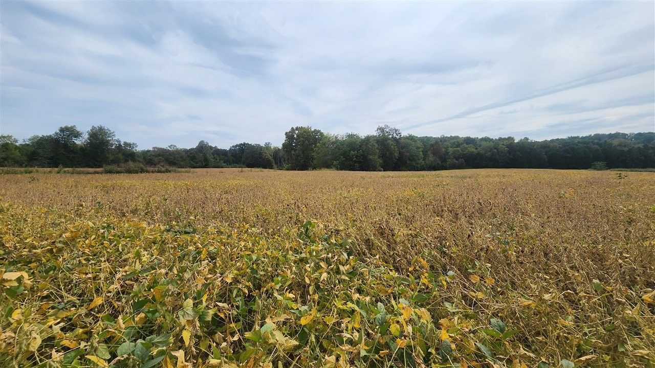 Russellville, Logan County, KY Undeveloped Land for sale Property ID