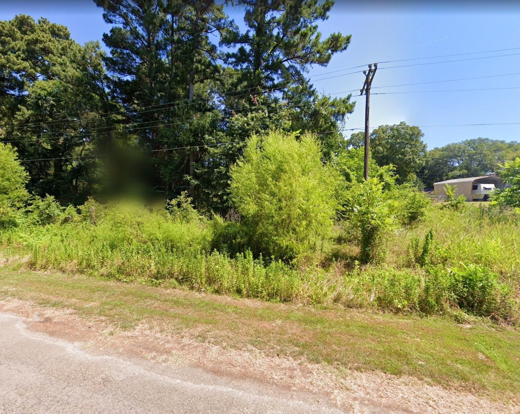 22814 Autumn Woods Trail, Flint, TX 75762 LandWatch