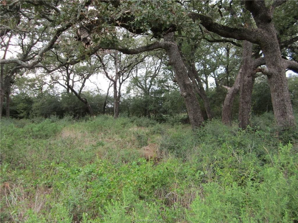 Caldwell, Burleson County, TX Undeveloped Land, Homesites for sale Property ID 417910622