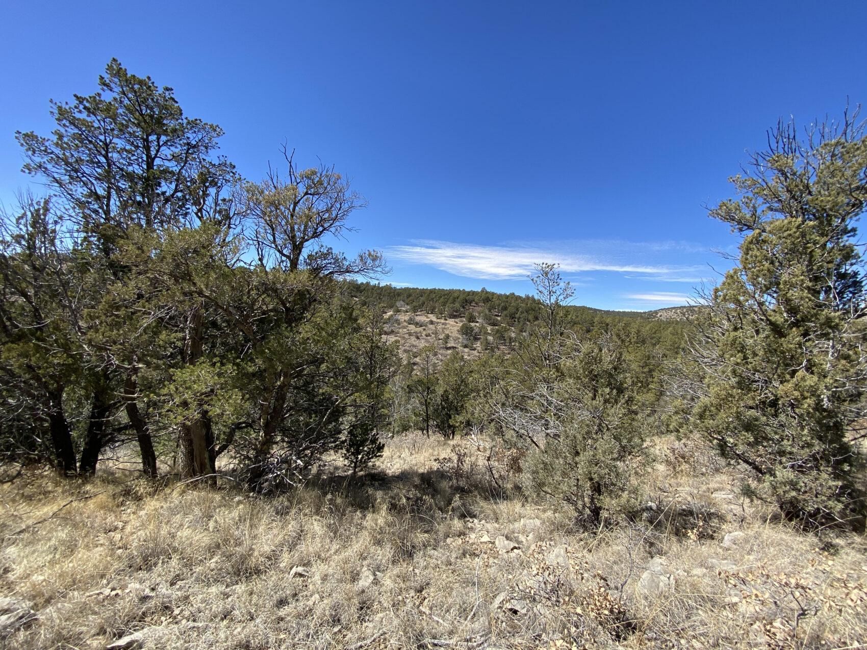 Timberon, Otero County, NM Recreational Property, Homesites for sale