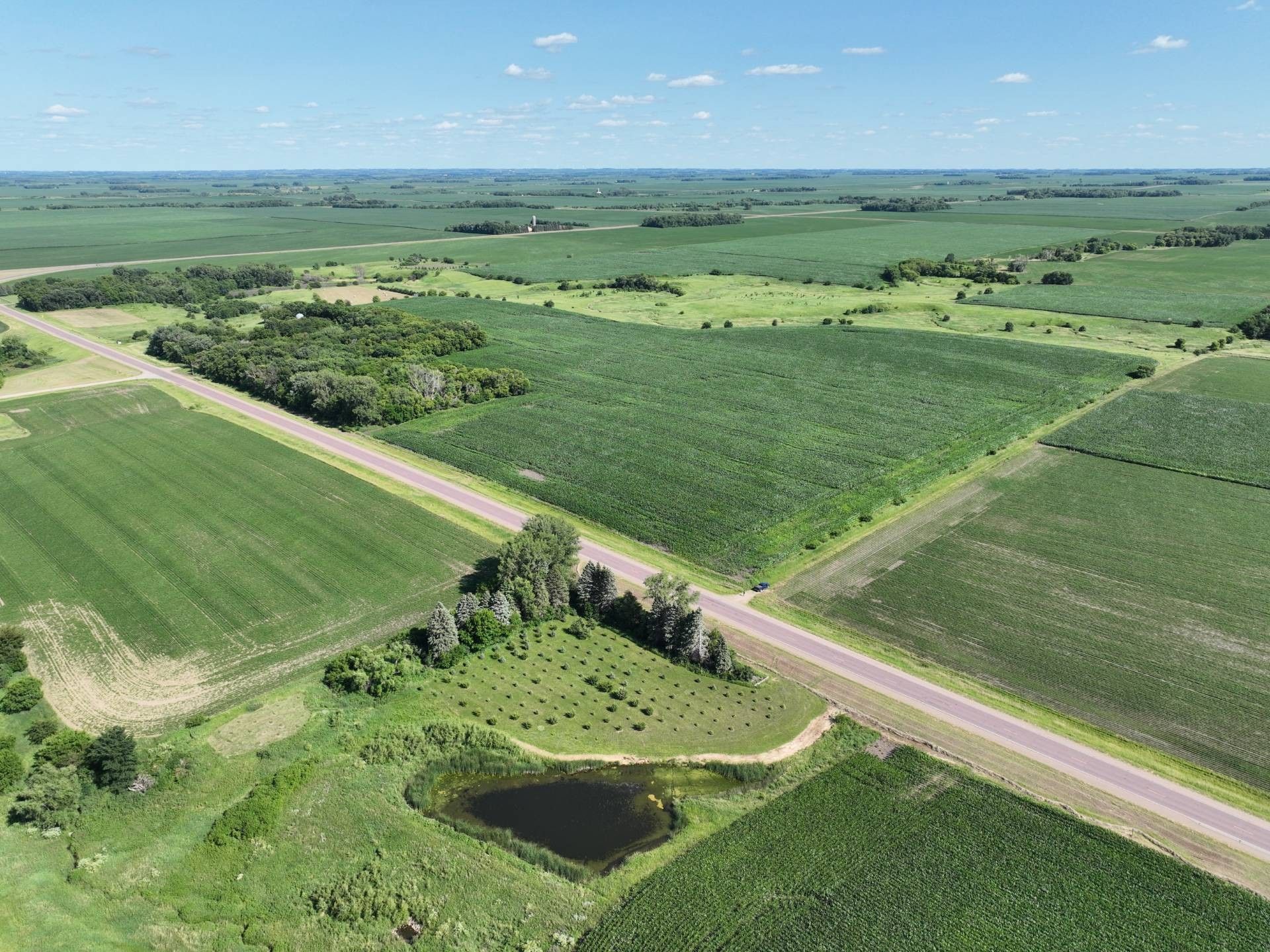 Walnut Grove, Redwood County, MN Undeveloped Land for sale Property ID