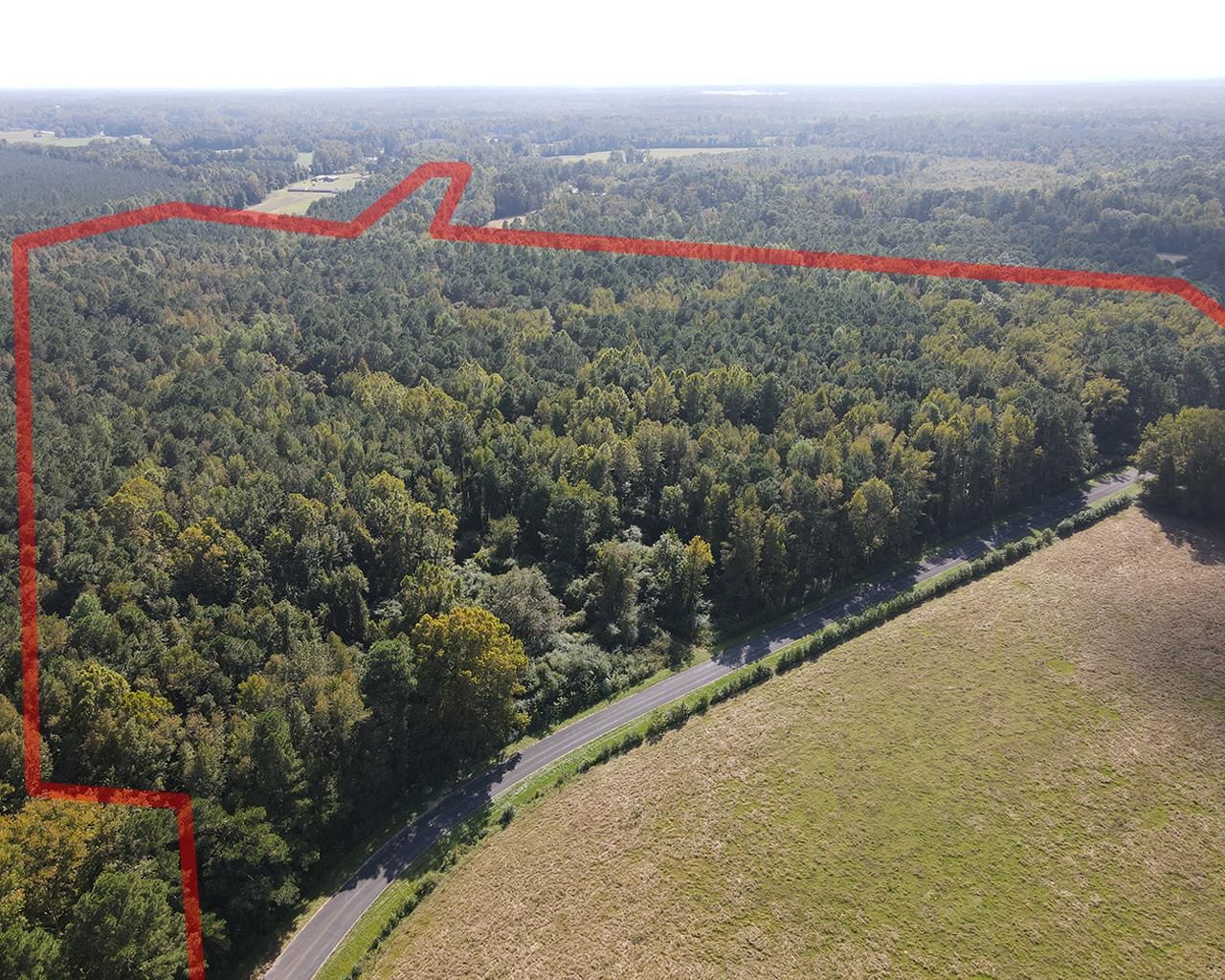 Warsaw, Duplin County, NC Timberland Property, Hunting Property for sale Property ID 417914509