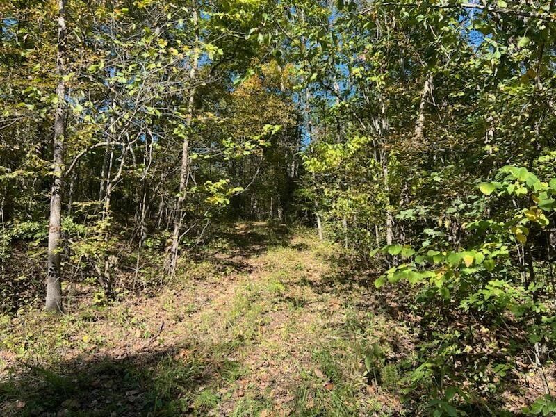 Annapolis, Iron County, MO Undeveloped Land for sale Property ID