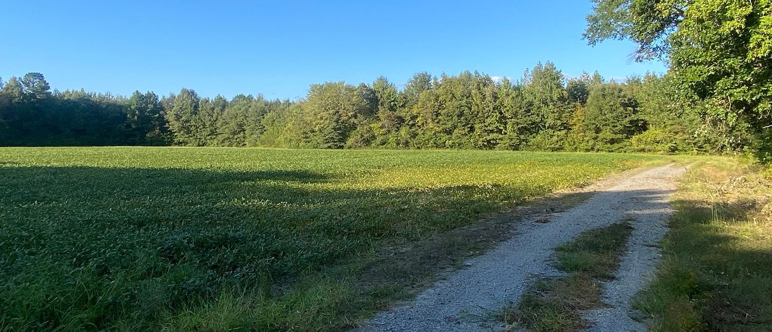 Emporia, Greensville County, VA Recreational Property, Timberland